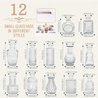 12pcs Mini Bud Vases As Wedding Centerpieces for Tables,Clear Bud Vases for Flowers,Small Flower Vases Suitable for Birthday Party,Anniversary,Wedding Reception,Baby Shower (Clear)