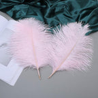 Ballinger Light Pink Ostrich Feathers - 24Pcs 12-14inch Large Feathers for Crafts,Party Centerpieces,Wedding and Home Decor