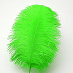 Ballinger Lime Green Ostrich Feathers - 24Pcs 12-14inch Large Green Feathers for Vase,Wedding Party Centerpieces and Holiday Home Decor
