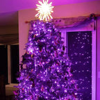 16 Pack 30 Led Fairy Lights Battery Operated String Lights 10 Feet Waterproof Twinkle Lights Mason Jar Purple