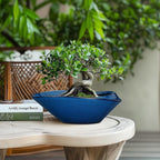 Bonsai Tree Pot - Ceramic Planter Pot with Drainage Hole 12 Inch Bonsai Pots Decorative Orchid Succulent Plant Pots for Indoor Outdoor Plants Blue