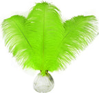 Happy Feather 16-18 inch Green Ostrich Feathers Craft for Wedding Party Centerpieces Home Decoration DIY Craft Pack of 10