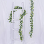 Lvydec 6 Pack Artificial Eucalyptus Garland, Fake Eucalyptus Greenery Garland Wedding Backdrop Arch Wall Decor, 6 Feet/Strand Fake Hanging Plant for Table Festival Party Decoration