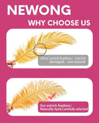 NEWONG 30pcs Gold Ostrich Feathers Natural Bulk 9-12inch(23-30cm) Vase Craft Wedding Home Party Centerpieces Christmas Day Decoration