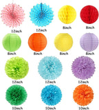 Rainbow Red-Orange Green-Blue Purple Party-Decorations - 14pcs Colorful Theme Paper Lanterns Fan,Tissue Pom Poms Streamers,Honeycomb Balls,Boy Girl Kids Birthday Baby Shower Wedding Supplies Ouruola