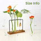 Plant Propagation Station, Glass Tubes for Indoor Hydroponic Plants & Flower Stems, Home/Office Decor, Birthday Gifts for Women, Gardening Gifts for Mom