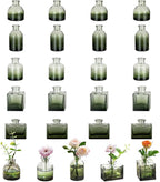 Glasseam Mini Bud Vases for Centerpieces: Clear Small Flower Vase Set of 20 Cute Tiny Glass Table Centerpieces Modern Wedding Birthday Party Baby Shower Dining Room Decoration Green