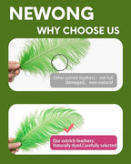 NEWONG 30pcs Fruit Green Ostrich Feathers Natural Bulk 9-12inch(23-30cm) Vase Craft Wedding Home Party Centerpieces Christmas Day Decoration
