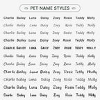 Dog Tags Personalized for Pets - YEHANTI Personalized Dog Tags with Dog Paw, Durable Stainless Steel Pet ID Tags for Small Large Dogs Cats, Custom Dog Name Tags Engraved on Both Sides (Round)