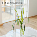7Pcs Glass Cylinder Vase for Centerpieces 10 Inch Tall Clear Glass Flower Vase Bulk, Glass Hurricane Candle Holder Floral Vases for Table, Floating Candle Vases for Wedding Home Décor