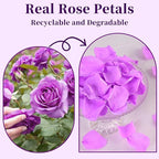 180 PCS Real Purple Rose Petals for Wedding, 1.76oz Dried Flower Petal for Flower Girl to Throw, Romantic Night Shower Party Proposal Centerpiece Table Decor