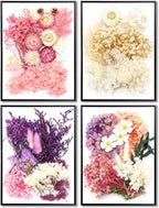 Vignee Real Dried Pressed Leaf Flowers-Multiple Colorful Pressed Flowers Daisies for Craft Resin Jewelry Making Art Craft DIY（White&Light Pink）