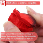 1000 Pcs Artificial Fake Rose Petals,Flower Petals for Romantic Night, Engagement, Party, Wedding, Event Flower Decorations, in Bulk(Dark Reddish with Black)