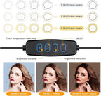 Video Conference Lighting Kit, Ring Light Clip on Laptop Monitor, 6" Dimmable LED Circle Selfie Light for Zoom Meeting/Remote Working/Zoom Calls/Live Streaming/Video Recording