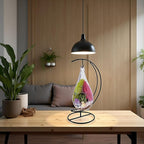 7" DIY Teardrop Terrarium Kit with Live Plants - Hanging Glass Planter with Stand for Adults & Kids - Build a Mini Ecosystem with Moss, Crystals, Tools - Made in The USA