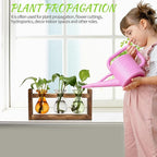 Plant Propagation Station Plant Terrarium Unique Birthday Gifts for Women Home Office Decor Planter with Wooden Stand - 3 Bulb Glass Vase