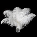 12pcs Natural White Ostrich Feathers 12-14inch (30-35cm) for Wedding Party Centerpieces，Flower Arrangement and Home Decoration.