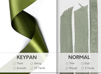 Moss Green 2.5 Inch Double-Faced Satin Ribbon 25 Yards for Gift Wrapping Crafts Flower Bouquet Invitations Holiday Decorating