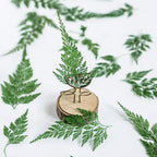 48 Pcs Dried Pressed Flowers Leaves Ferns for Crafts Art Resin DIY Natural Dry Green Leaf Epoxy Jewelry Real Rose Flower Decor Cakes Phone Cases Bookmarks Candles Handmade Soap Ferns