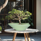 Ceramic Bonsai Pot - 18 Inch Planter with Drainage Hole Large Modern Bonsai Planter Decorative Succulent Flower Plant Pot for Indoor Plants Outdoor Green