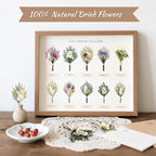 12/24 PCS Charming Dried Flowers Bouquet for Vase Various Dried Wildflowers with Stems Mini Handmade Wildflowers Natural Real Flowers Bulk Flowers Craft (White Series, 12 PCS)