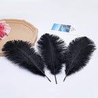 Ballinger Black Ostrich Feathers Bulk - 24Pcs 8-10inch Feathers for Crafts,Gatsby and Halloween Party Centerpieces