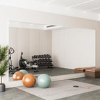brisafe 2PCS 79" X 40" Gym Mirror - Full Length Wall Mirror for Gyms, Dance Studios, Home and Yoga - Easy Installation, Ultra Light Shatterproof Nano Miorror Reduces 60% Commercial Insurance Costs