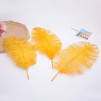 Ballinger Gold Large Ostrich Feathers - 12Pcs 14-16inch Large Feathers for Vase,Wedding Party Centerpieces and Christmas Home Decor