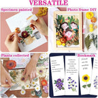 Vignee Real Dried Pressed Leaf Flowers-Multiple Colorful Pressed Flowers Daisies for Craft Resin Jewelry Making Art Craft DIY（Violet&Light Pink）