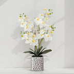 Orchid Artificial Flowers with Sliver Vase Large Silk Faux Phalaenopsis Flowers for Dining Room Table Floral Centerpieces Indoor Decoration,White