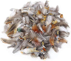 360pcs 12 Styled Natural Feathers Assorted Mixed Feathers for Jewelry and Dream Catcher Crafts