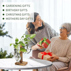 Plants Propagation Stations Plant Terrarium Kit Glass Planters for Indoor Plants House Plant Accessories Gift for Women - 4 Love Bulb Vase