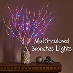Fudios Lighted Birch Branches with 70 Multicolor LED Fairy Lights 18in Battery Operated, Lit White Twig Branches Color Changing Lights for Christmas Party Decoration