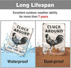 Funny Chicken Tin Sign - “Cluck Around and Find Out” Farmhouse Wall Decor for Kitchen, Coop, Garden - 8x12 inch Rustic Metal Gift