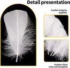 THARAHT 360pcs White Feathers 3-5 inch Craft Feathers Assorted Rainbow Colors Feathers for Kids for DIY Handmade Wedding Home Party Decorations Natural Feather