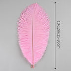 THARAHT Pink Ostrich Feathers 12pcs Natural Bulk 10-12Inch 25cm-30cm for Crafts Wedding Party Centerpieces Easter Gatsbi and Home Decoration Feathers