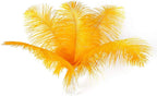 Ballinger Gold Large Ostrich Feathers - 12Pcs 14-16inch Large Feathers for Vase,Wedding Party Centerpieces and Christmas Home Decor