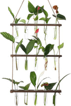 YIBOT Propagation Stations,3 Tiered Wall Hanging Terrarium with Wooden Stand,Mini Glass Test Tubes Vase,Propagation Tubes for Hydroponic Cutting Home Garden Office Decor Plant Lover Gift