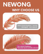 NEWONG 30pcs Brown Ostrich Feathers Natural Bulk 9-12in（23-30cm） Vase Craft Wedding Home Party Centerpieces Christmas Day Decoration