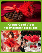 NEWONG 30pcs Red Ostrich Feathers Natural Bulk 9-12inch(23-30cm) Vase Craft Wedding Home Party Centerpieces Christmas Day Decoration