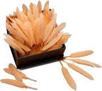 FeelfunFeather 120pcs Champagne Goose Cochettes Feather Natural Bulk 4-6 inch 10-15cm for Wedding Party Christmas Decorations DIY Crafts Goose Cochettes Feather