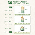Glass Bud Vases in Bulk Set of 30 Pcs,Small Glass Vases for Flowers as Wedding Centerpieces for Tables,Clear Flower Vases Suitble for Wedding Decorations,Home Decor (Brown Green, 30 pcs)