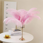 Larryhot Pink Long Ostrich Feathers - 16-18 inch 10pcs Feathers for Cfafts, Wedding Party Centerpieces and Home Decorations (Light Pink)