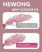 NEWONG 30pcs Peony Pink Green Ostrich Feathers Natural Bulk 11-14inch(28-35cm) Vase Craft Wedding Home Party Centerpieces Christmas Day Decoration