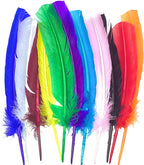 White Turkey Feathers,22 Pcs Natural Feathers Bulk Long 10-12 inch (25-30cm),Turkish Feather for Crafts DIY Wedding Home Party Mardi Gras Decorations (White)