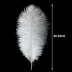 12pcs Natural White Ostrich Feathers 12-14inch (30-35cm) for Wedding Party Centerpieces，Flower Arrangement and Home Decoration.