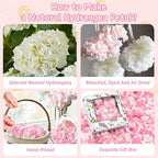 1500+ Real Dried Hydrangea Flower Petals -1.06Oz Real Natural Preserved Petals for Wedding, Party Confetti, Romantic Night, Proposal Decor, Handcrafts (Pink & White)