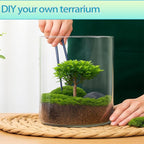 4 in 1 Plant Propagation Station Hydroponic Vase Planter Pot,Indoor Glass Terrarium Planter,Fresh Herb Garden Grow Kit,Home Office Decor,Christmas Birthday Gift for Gardener Women Parents Garden Lover