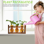 Plant Propagation Station Plant Terrarium Unique Birthday Gifts for Women Home Office Decor Planter with Wooden Stand - 3 Bulb Glass Vase