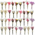 10/12/24/36 Pack Mini Dried Flowers for Vase Wedding Various Mini Bouquet Dried Small Wildflowers Natural Flowers Bulk for Crafts DIY Decor (36, Multicolor)